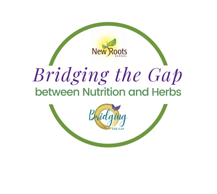  Review of Bridging the Gap's 6 week CPD Course - Between Nutrition and Herbs